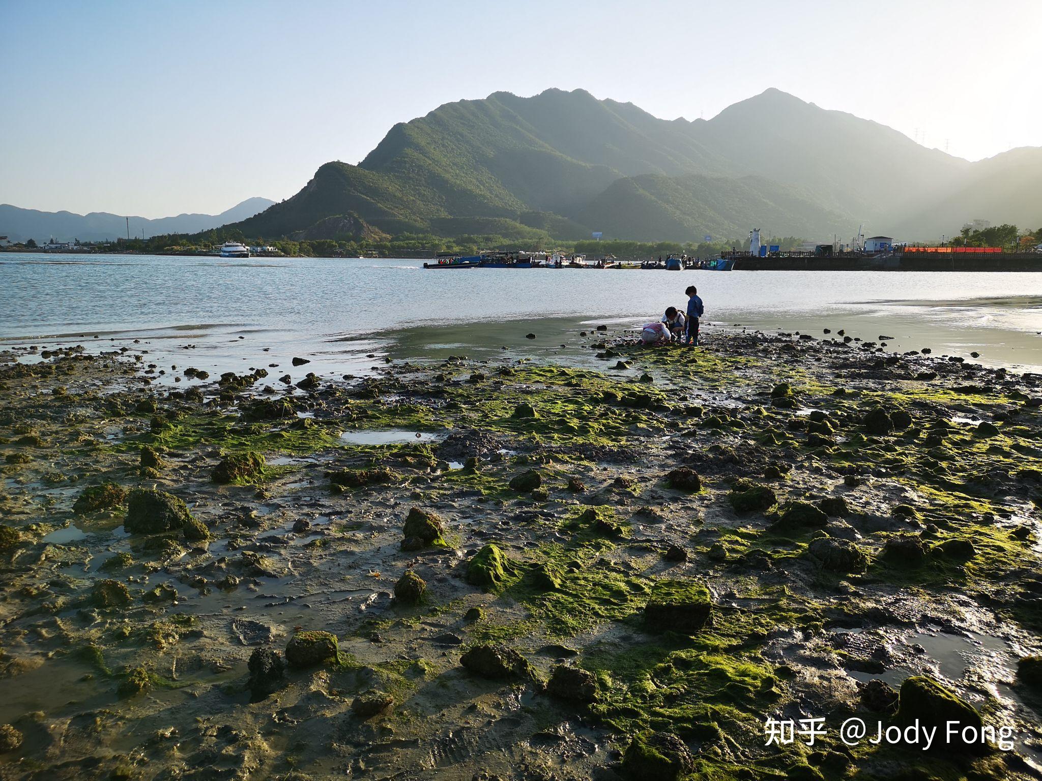 惠州小桂老码头赶海