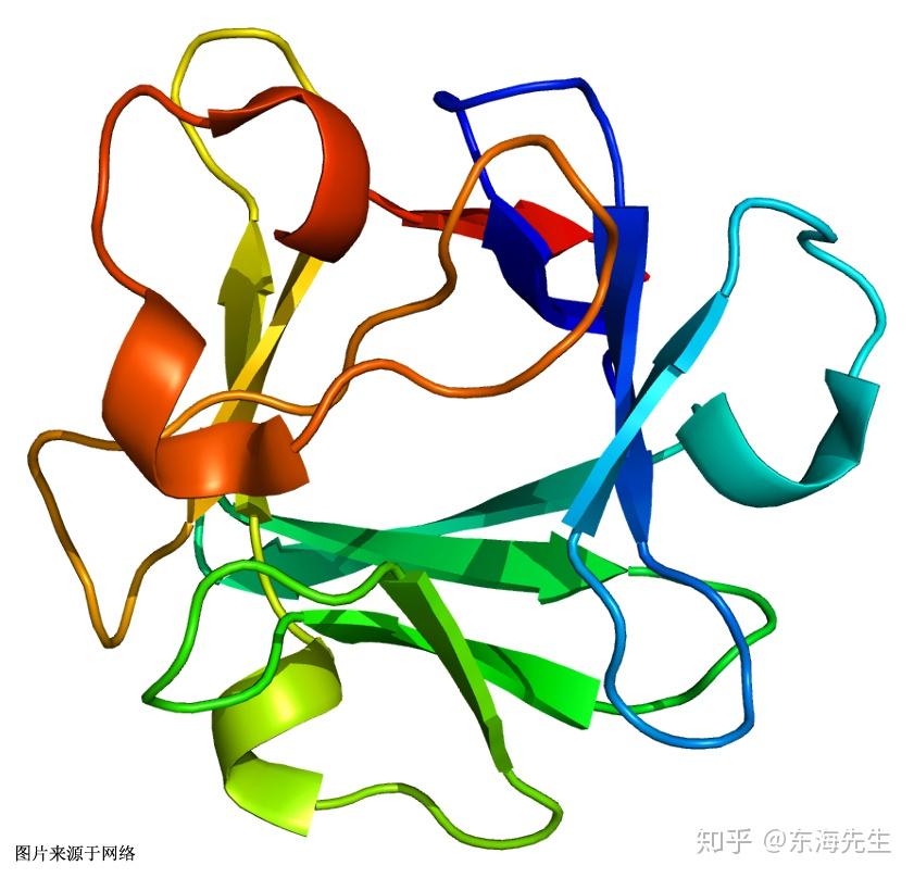 fgf 2 sigma fgf 2 sigma