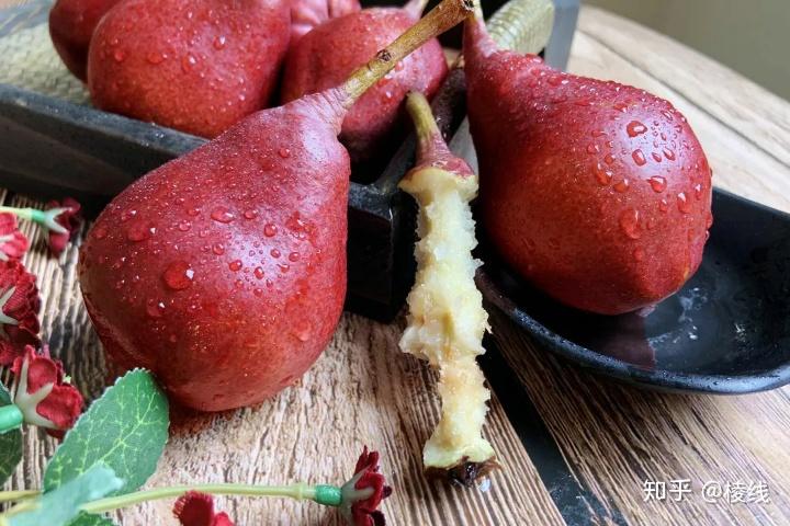 秦岭山下红啤梨