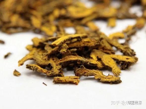 同藥不同效名老中醫用黃連秘訣附臨床實戰醫案3則