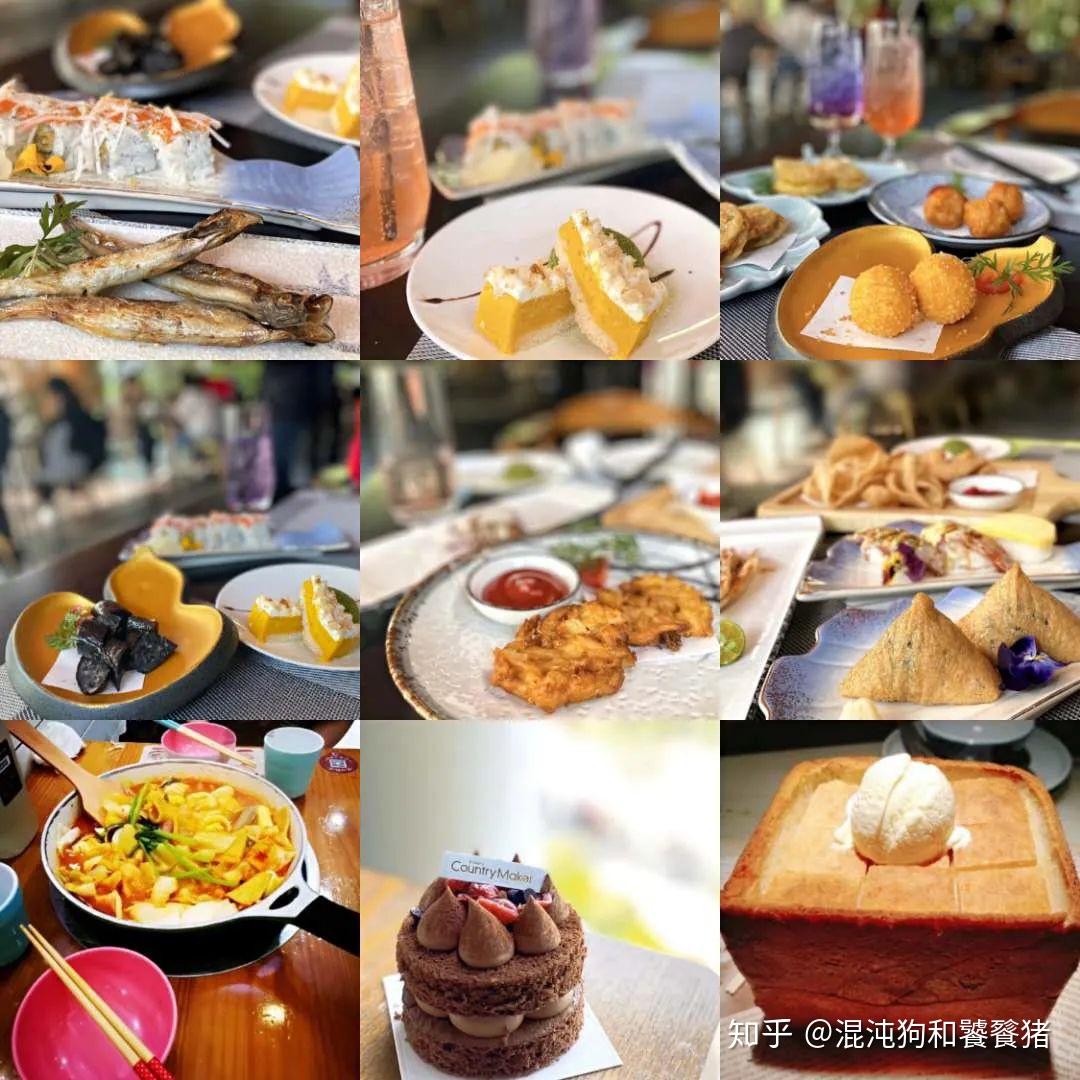 《苗小姐减肥日记》by怀愫【温馨提示】:本文sc 1v1 he哦!