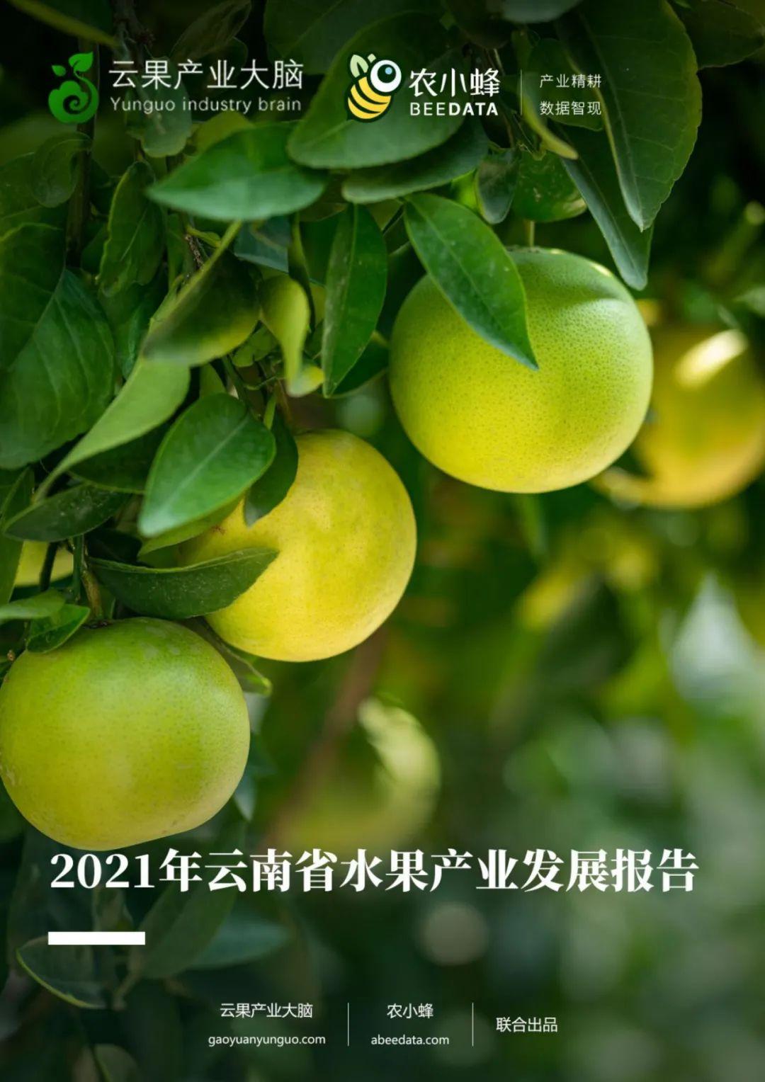 云果年度报告深度洞察2021年云南水果产业发展情况
