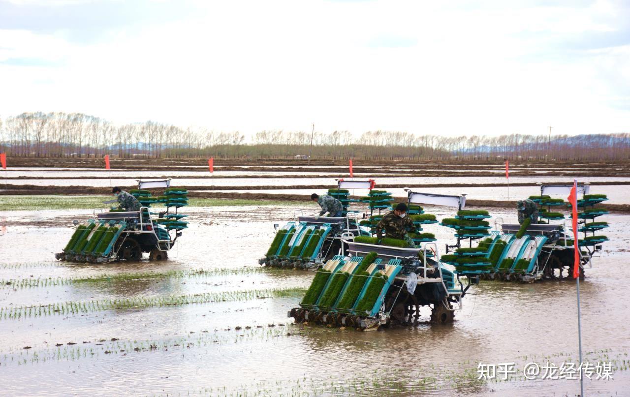 黑龙江省鸭绿河农场图片