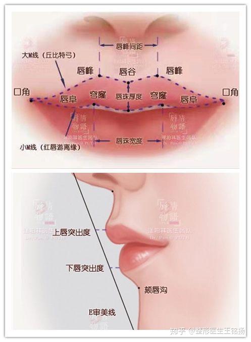 你的嘴唇👄能驾驭omg的口红嘛?💄