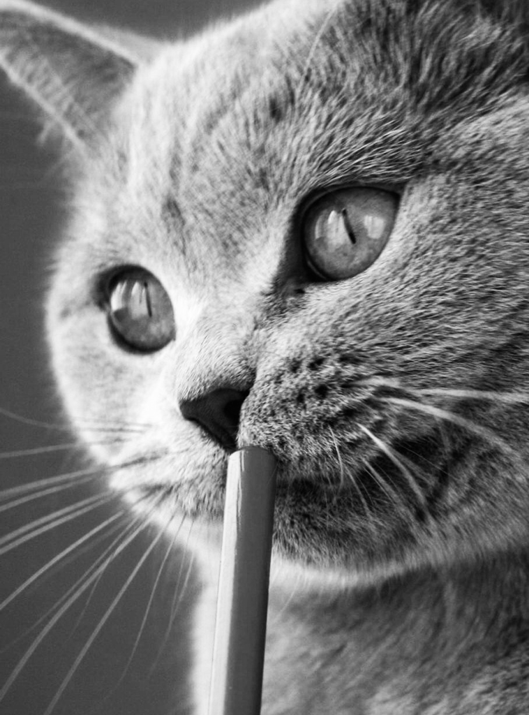 有什么创意kindle屏保壁纸