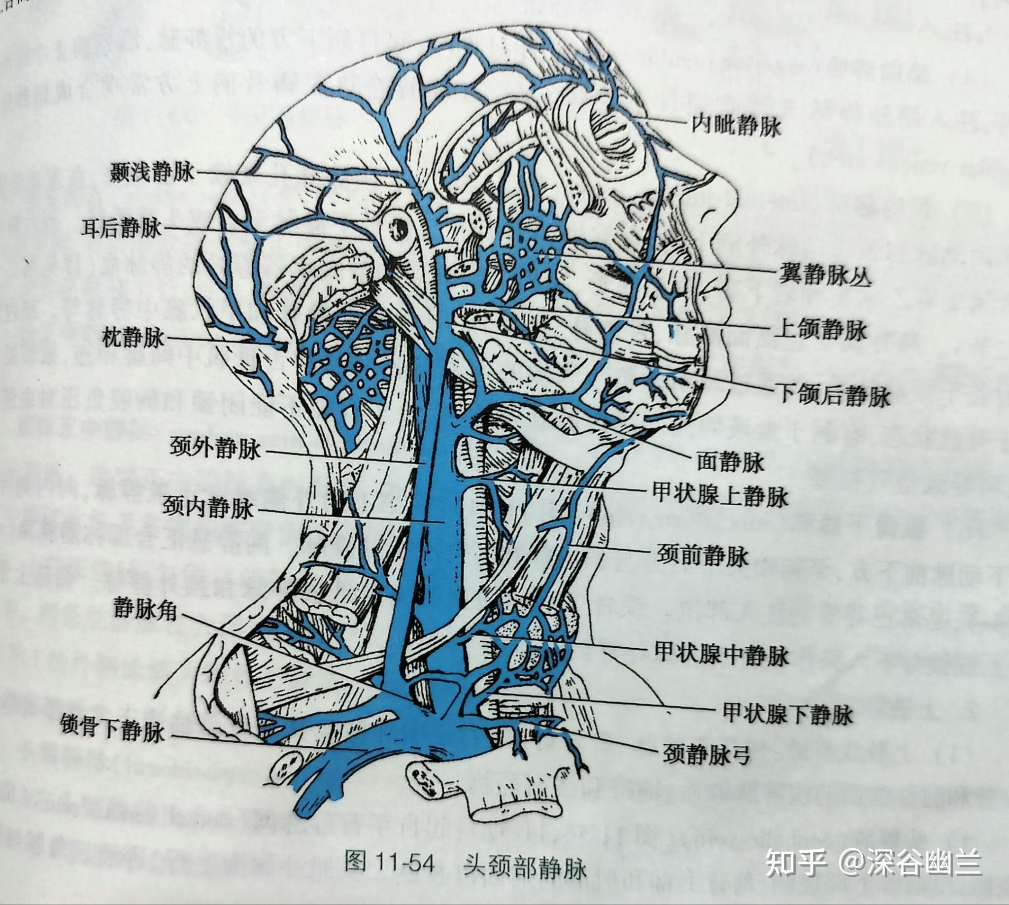 了解下关穴处的有关病因 - 知乎