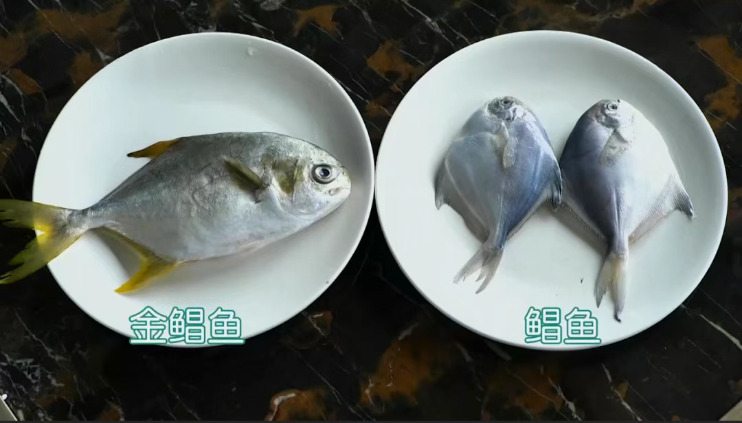 武昌鱼是那个鲳鱼吗？武昌都不是那个武昌… - 知乎
