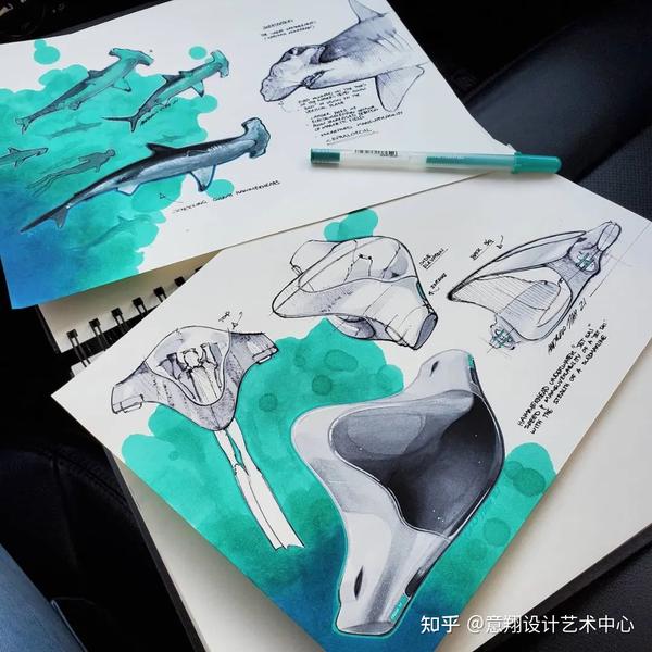 史上最全仿生设计素材!(内含100+张手绘图) - 知乎
