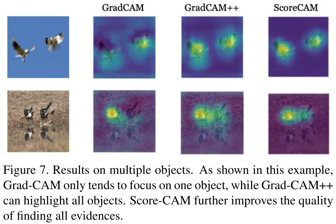 ScoreCAM ScoreWeighted Visual Explanations for Convolutional Neural