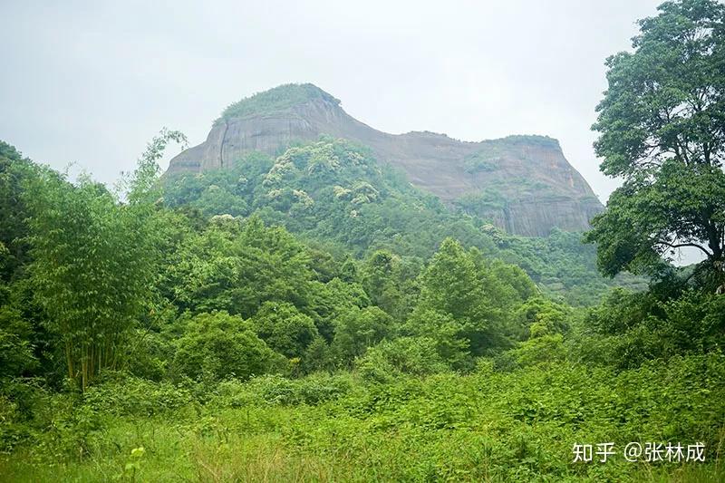 陽元山景區 看了要害羞