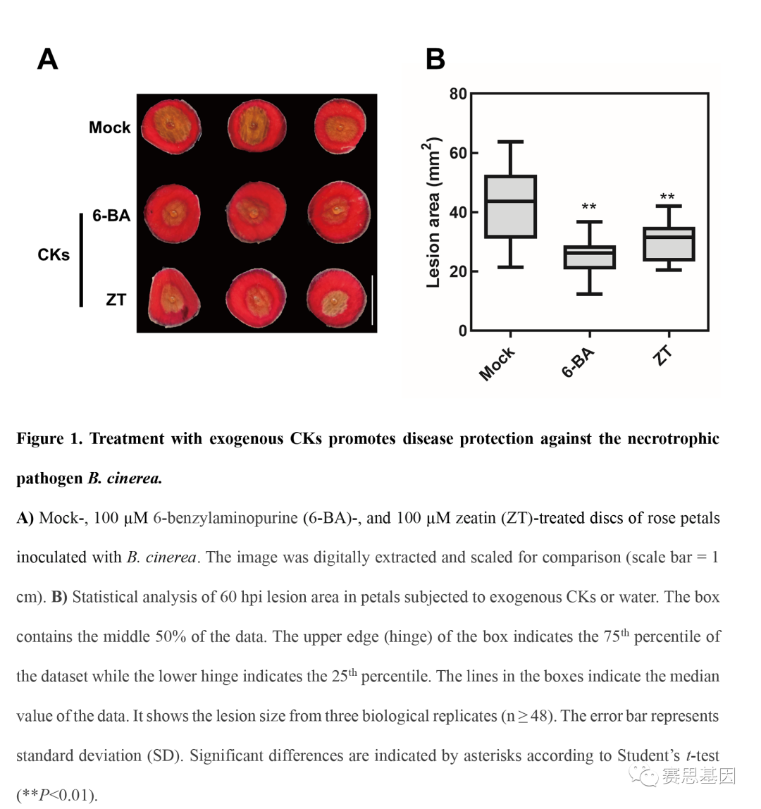 plant-physiol-wrky13