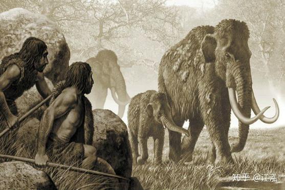 怕疼?那你上辈子可能是个尼安德特人