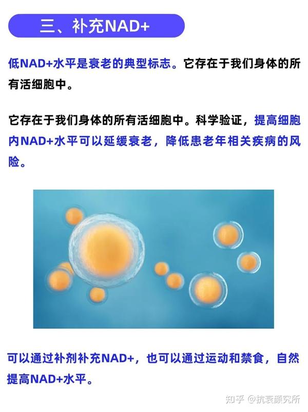 抗衰攻略|盘点6个高效抗衰方法 - 知乎