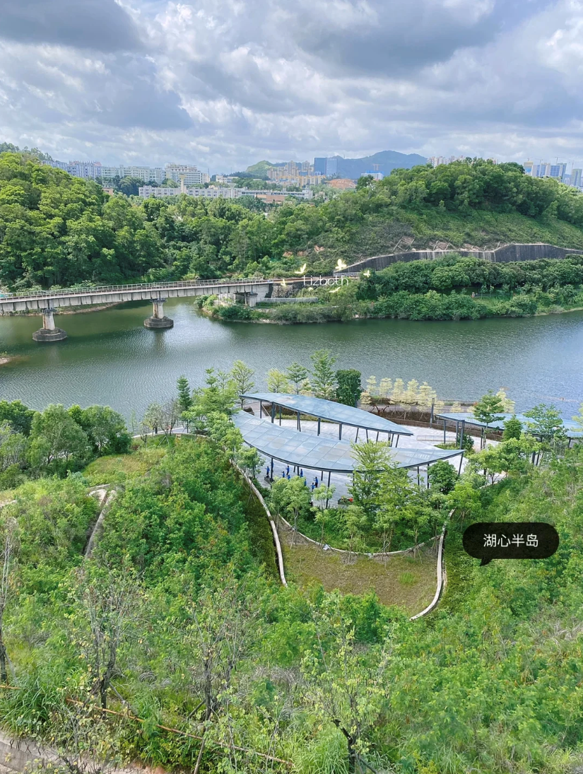 深圳「新开公园」,湖光山色美如画!攀登,吸氧,遛娃,约会.超多玩法!