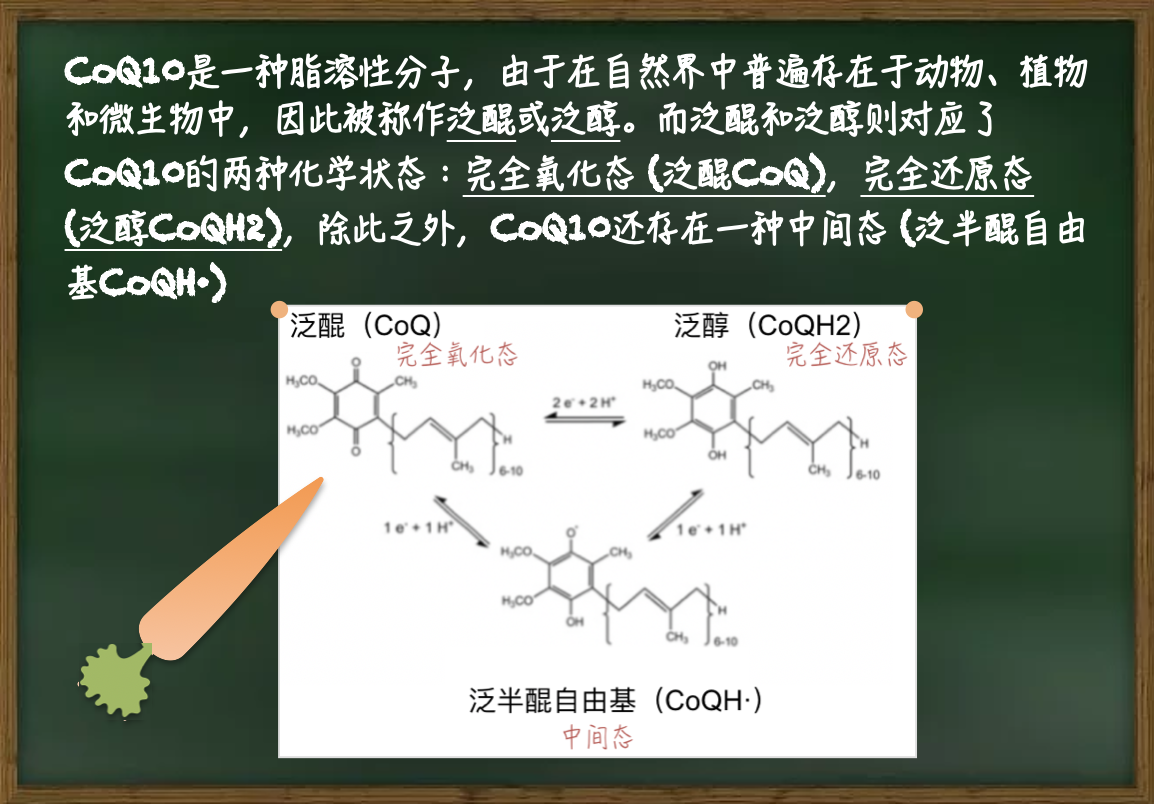 泛醌和泛醇哪个是更好的辅酶Q10形式?怎么选? - 知乎