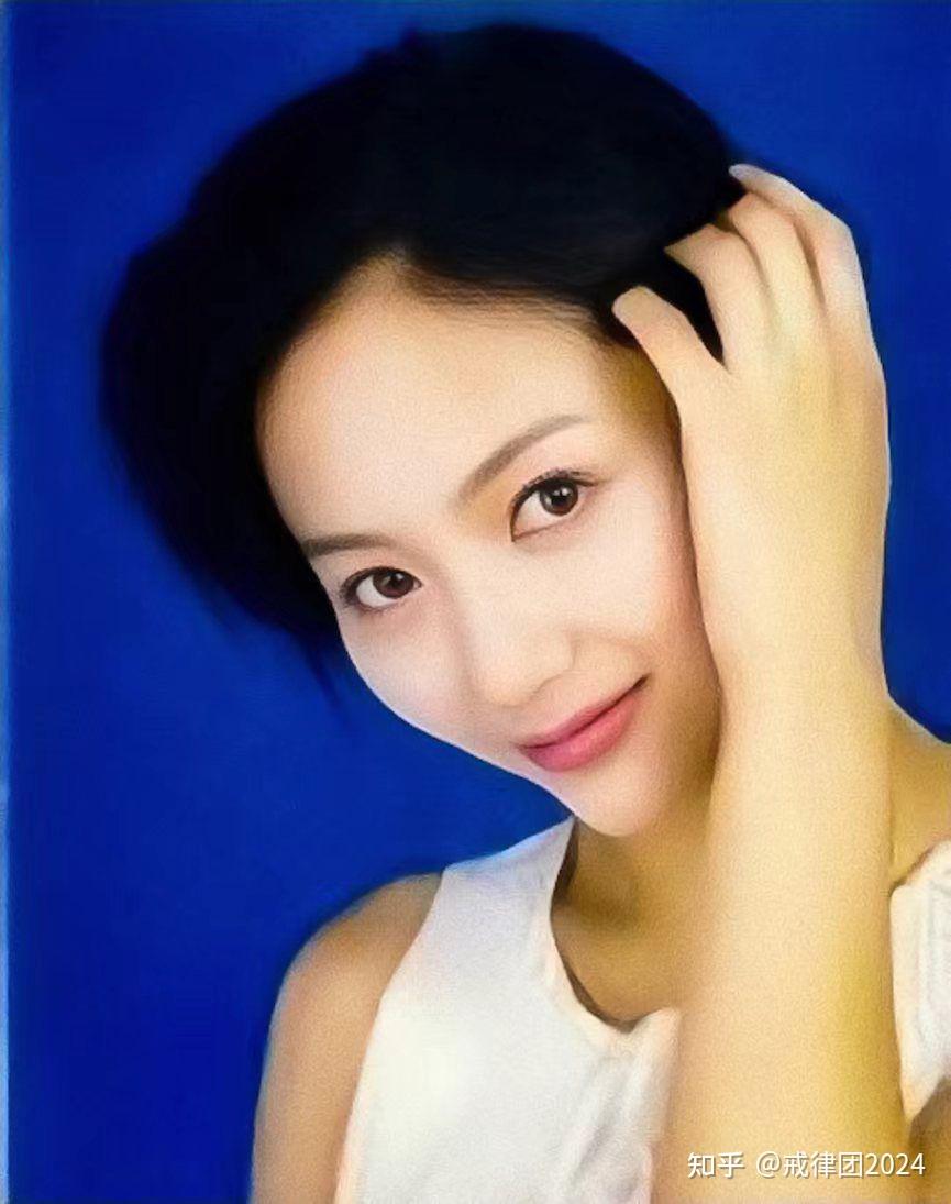 戒律团2024年度黑龙江电视台和河南电视台女明星主持人