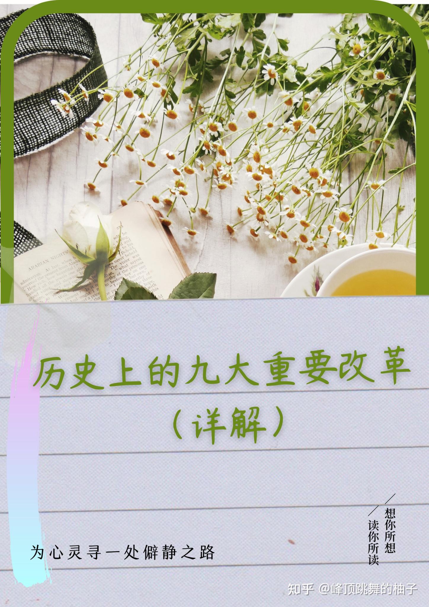 王安石【历史上的9大重要改革详解】背来背去背糊涂的梭伦改革商鞅