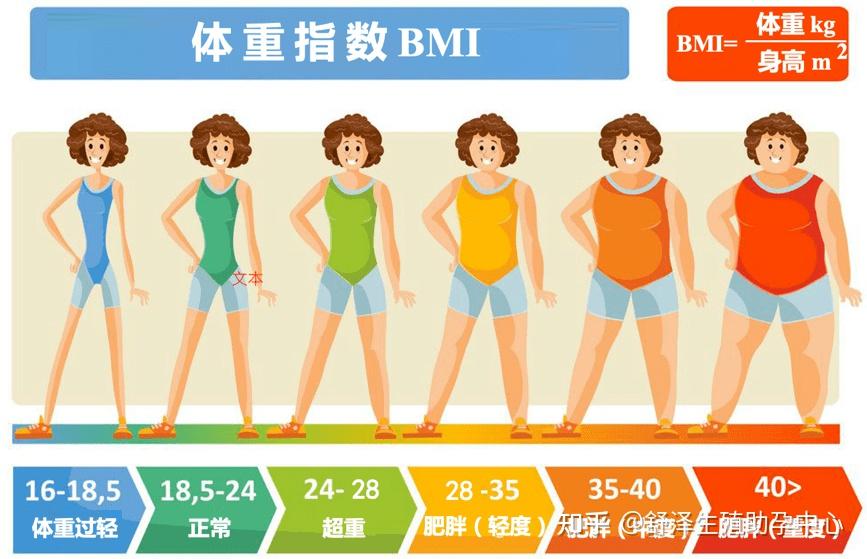 为了试管成功率这个夏天你也需要减肥