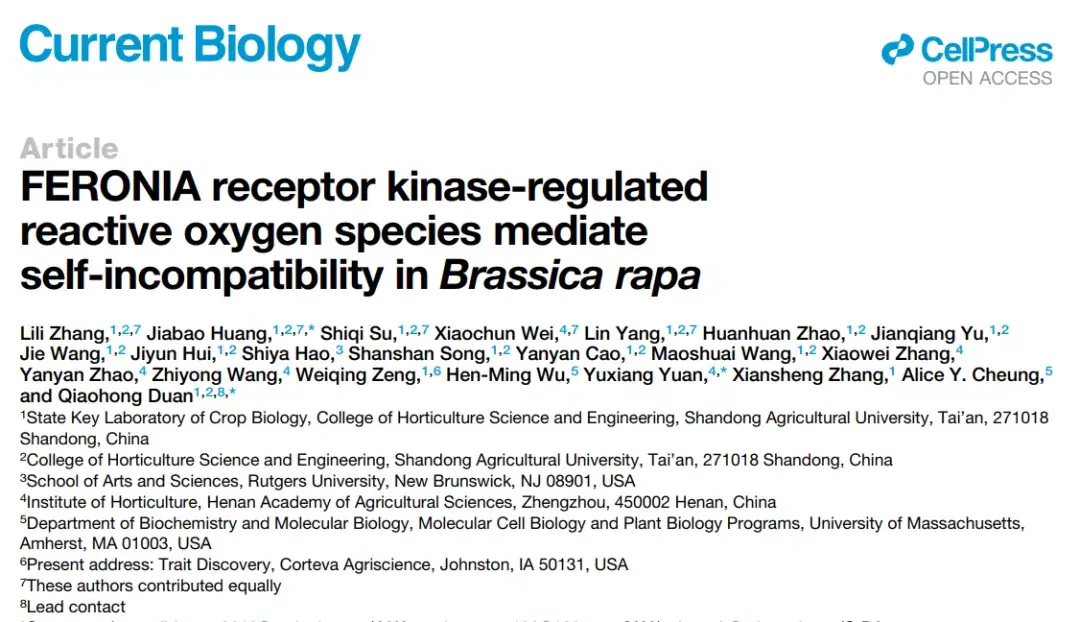 regulated reactive oxygen species mediate self-incompatibility