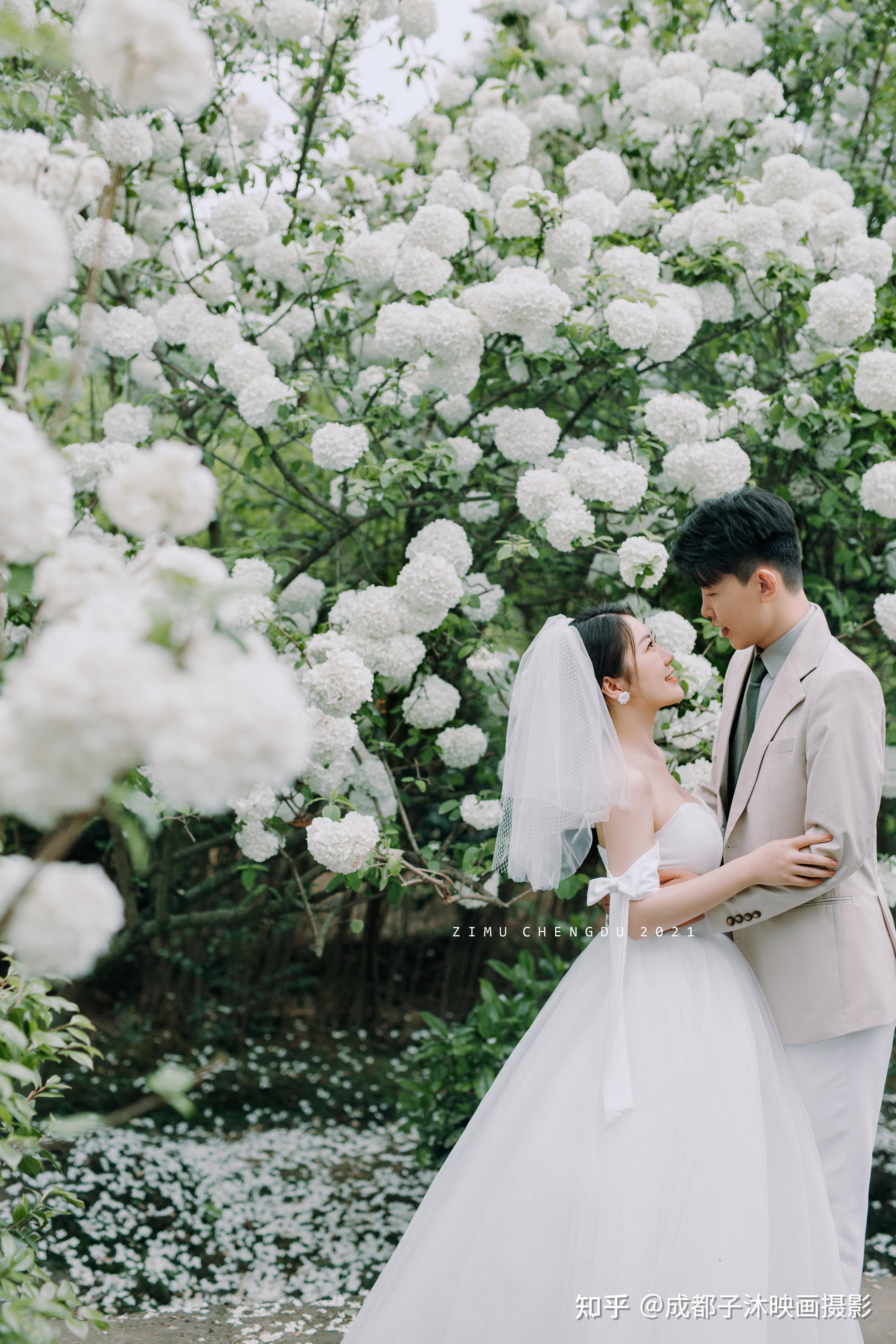 我最想拍的春季婚纱照72绣球花