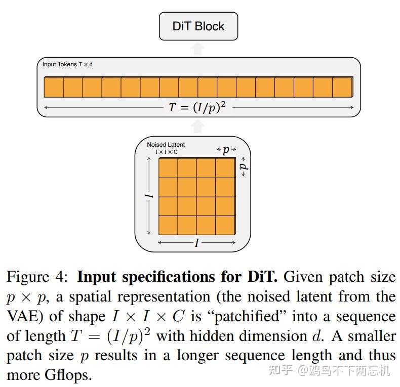 （DiTs）Scalable Diffusion Models with Transformers - 知乎