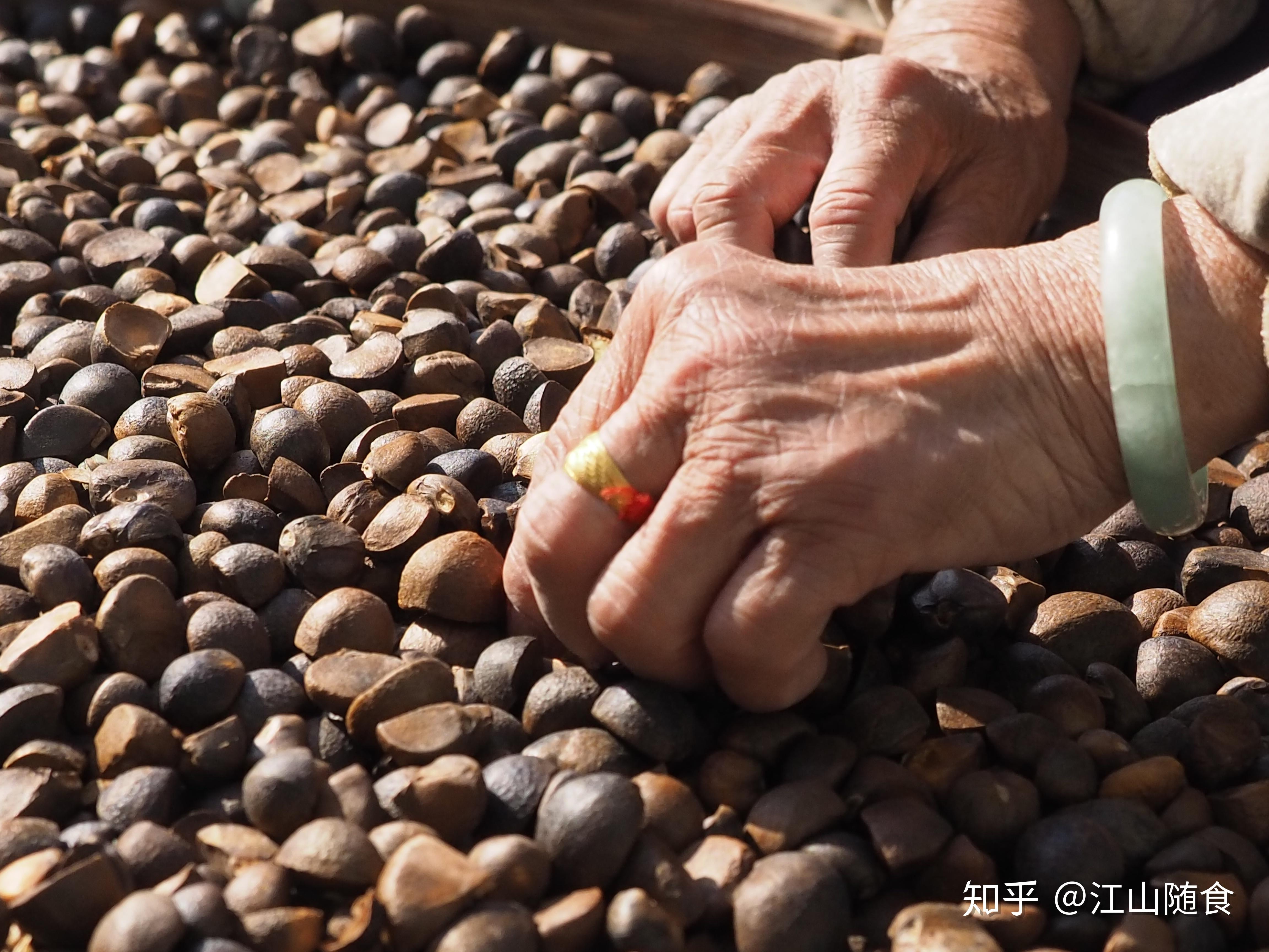采茶籽,晒茶籽,剥壳,挑拣,晒茶籽仁,仅仅只是榨油前的准备而已,老人们