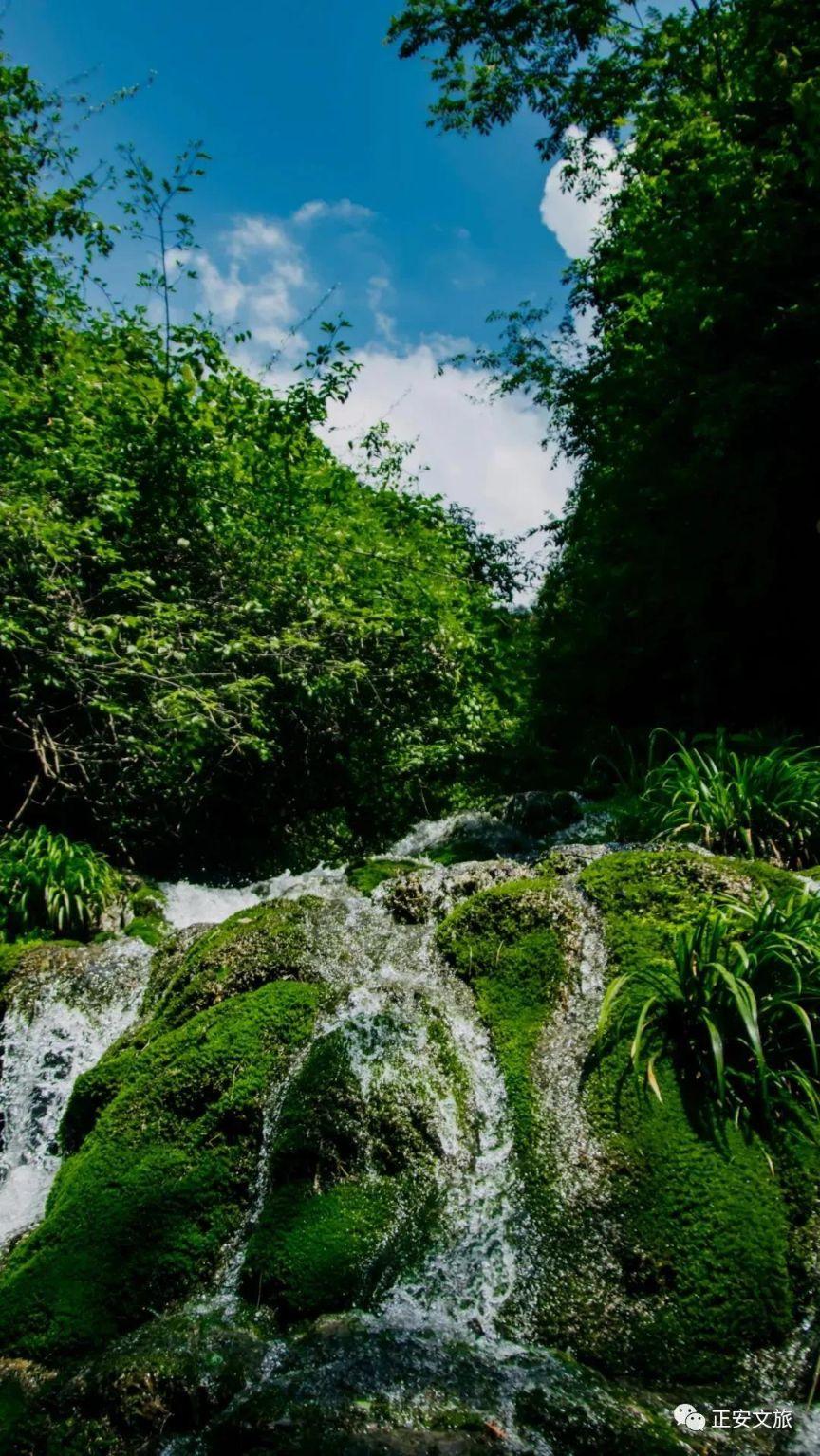 榕江龙塘景区图片