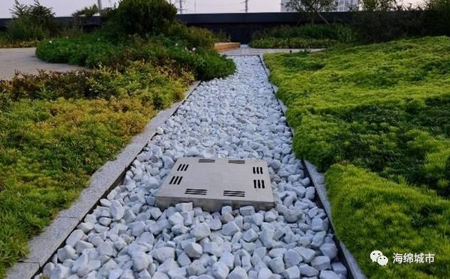 热议北方该不该建海绵城市一个风口之下久未回应的问题