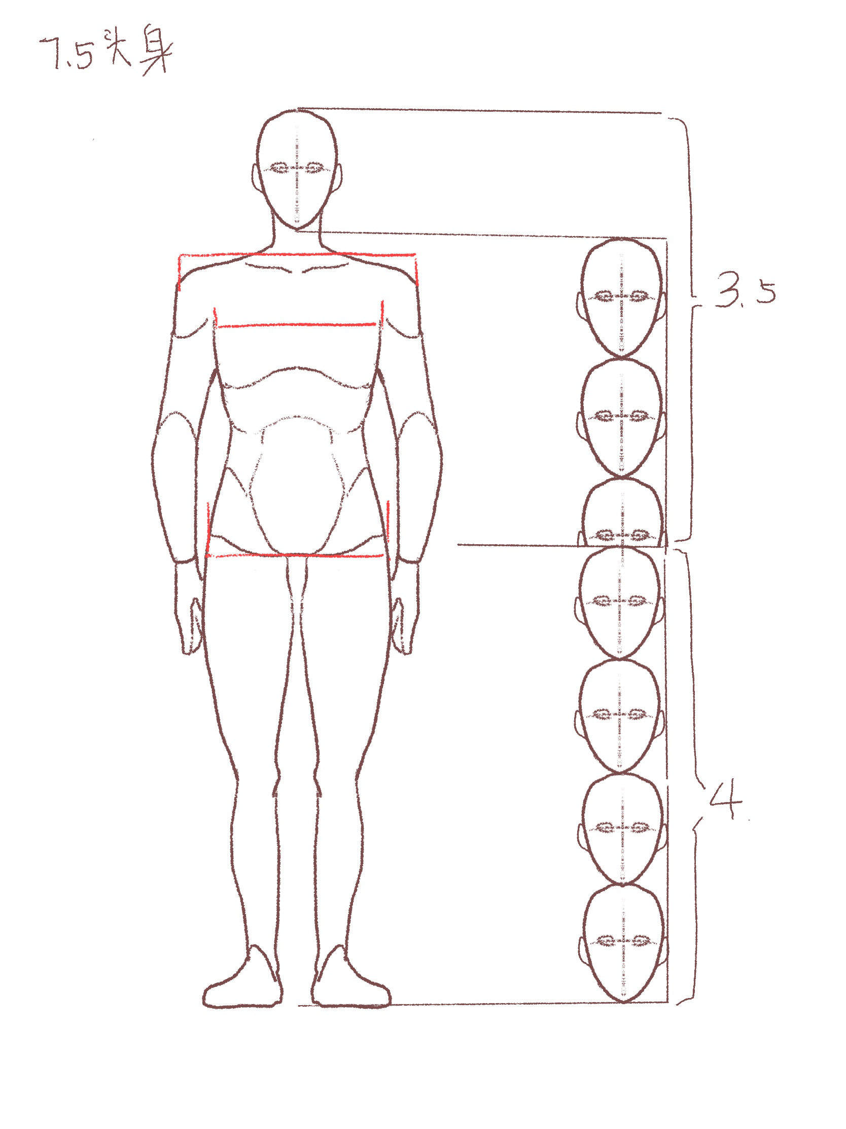 人的第一眼会先对整个画面进行一个扫描