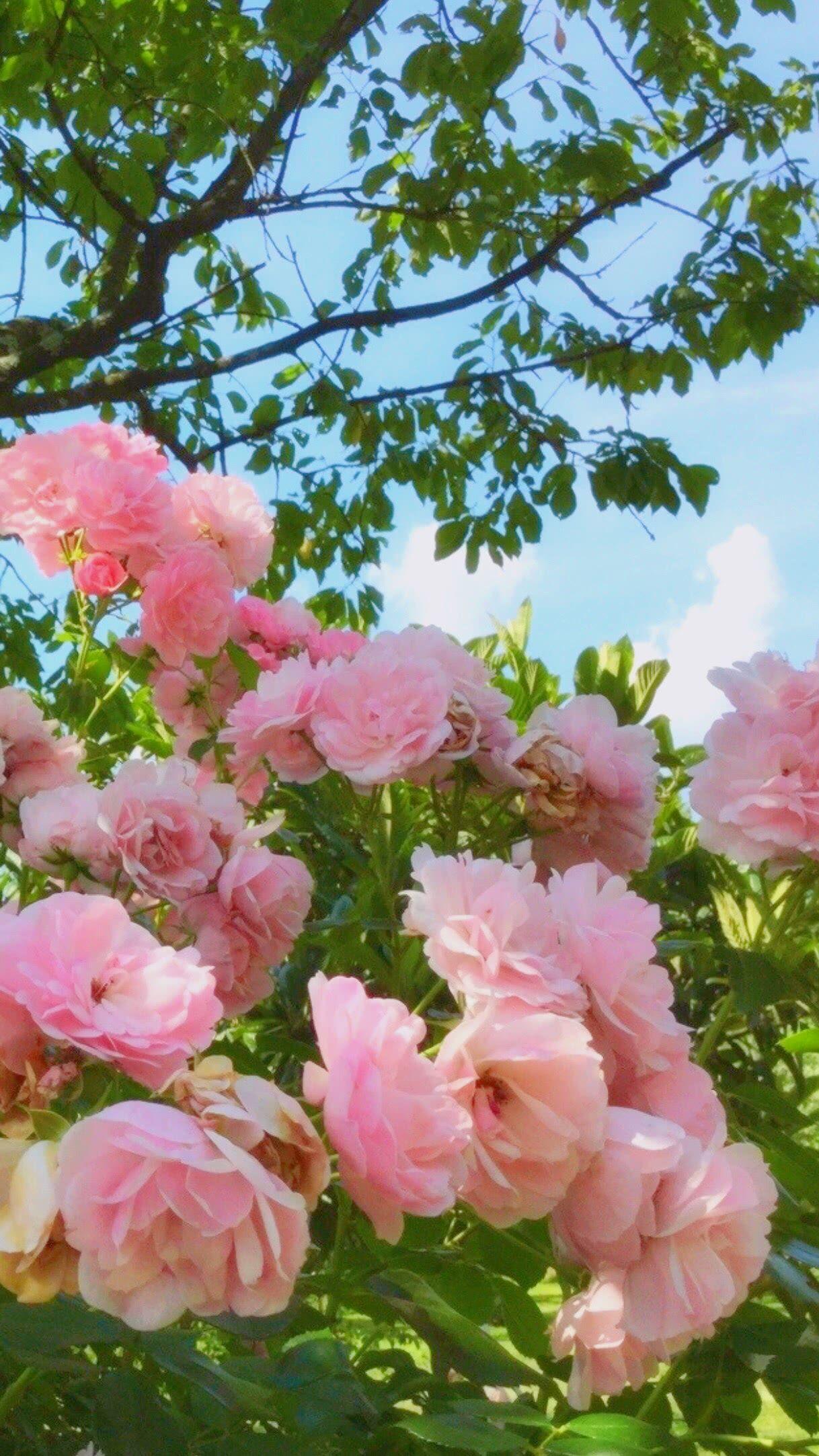 有没有什么好看的手机锁屏图片