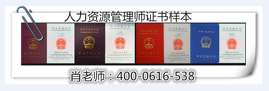 阆中人力资源师报考费用_阆中人力资源师申报