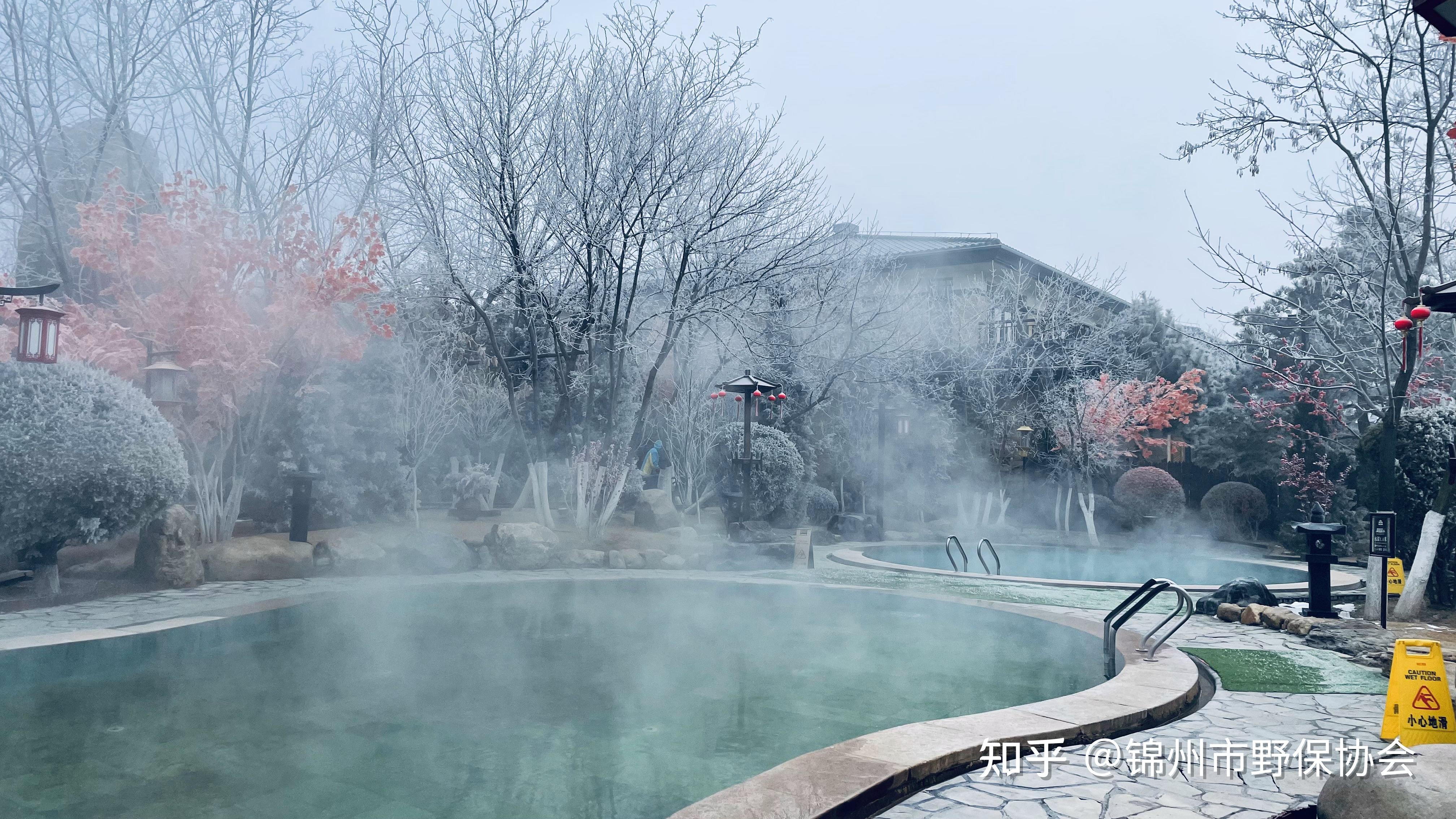 到了冬天，是时候来锦州东方华地城泡一泡温泉了 - 知乎