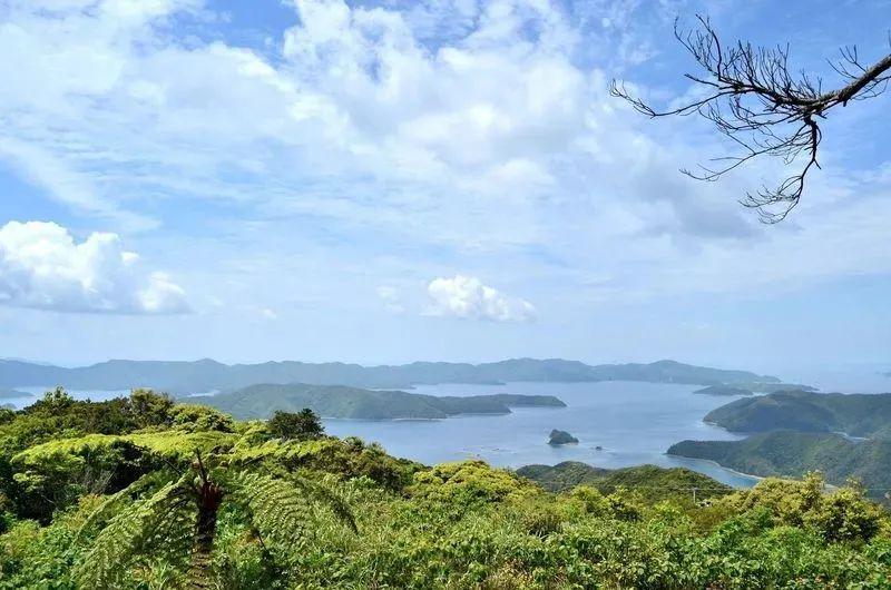 奄美大岛,是属于琉球群岛中的一个大岛,位于冲绳与鹿儿岛之间,是日本