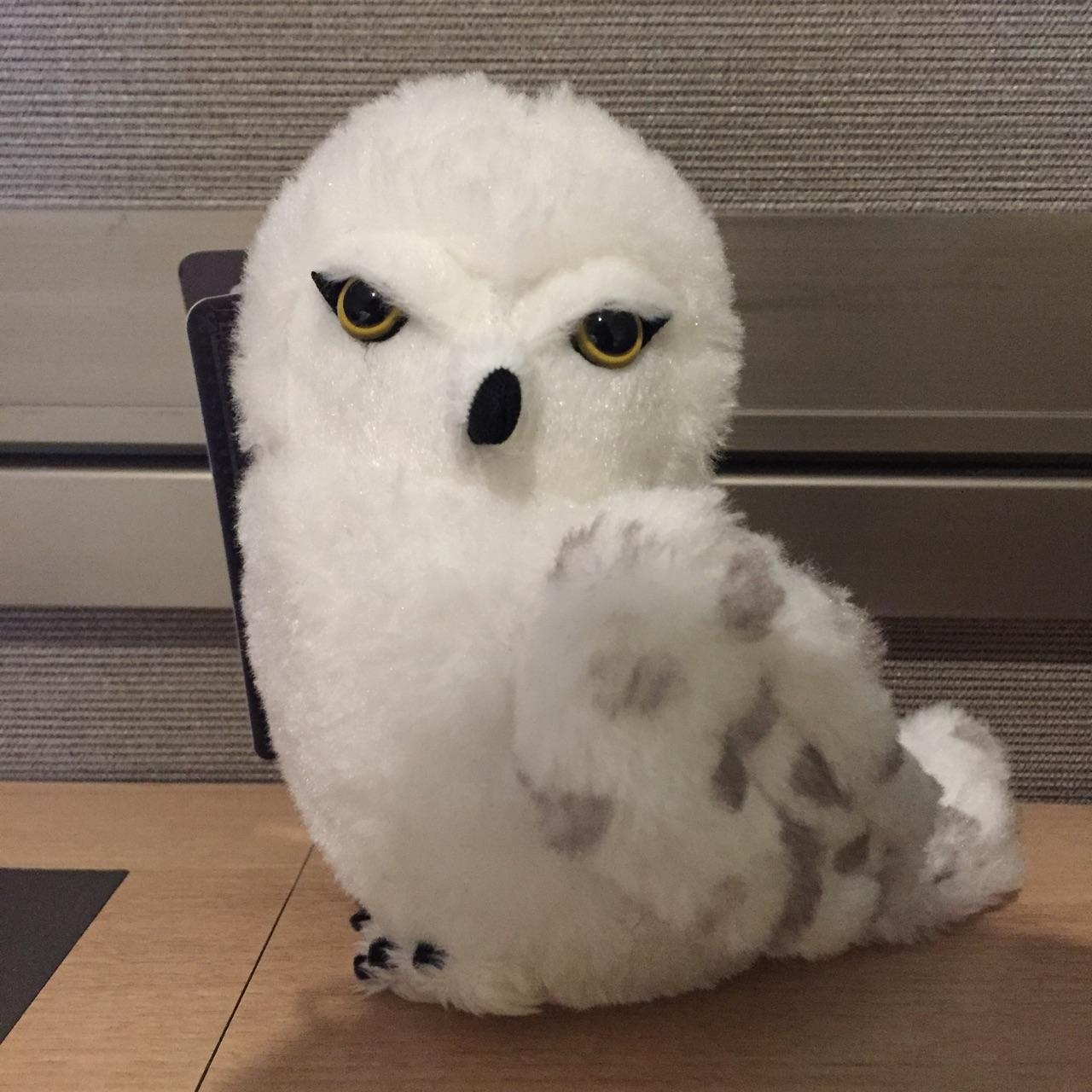 哈哈哈哈 - 收藏夹 - 知乎