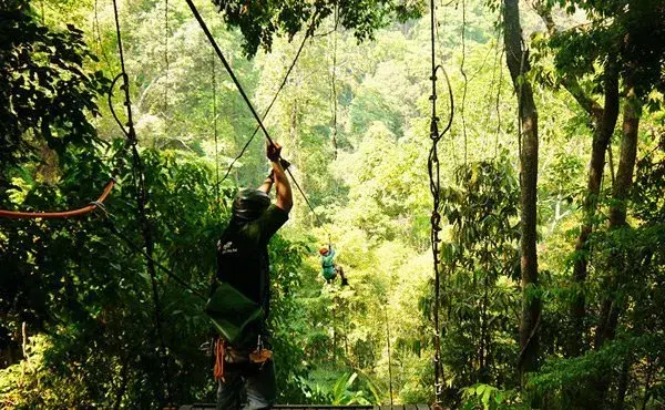 泰國旅遊玩什麼人妖秀叢林飛躍高空跳傘熱氣球攀巖