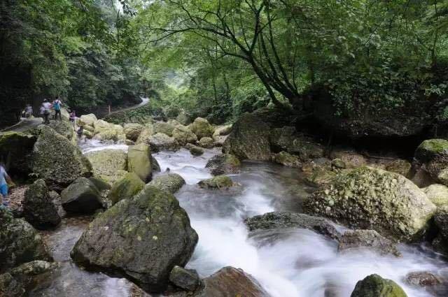 趙雷唱的成都中的玉林路我還沒有去過可能我在一個假的成都