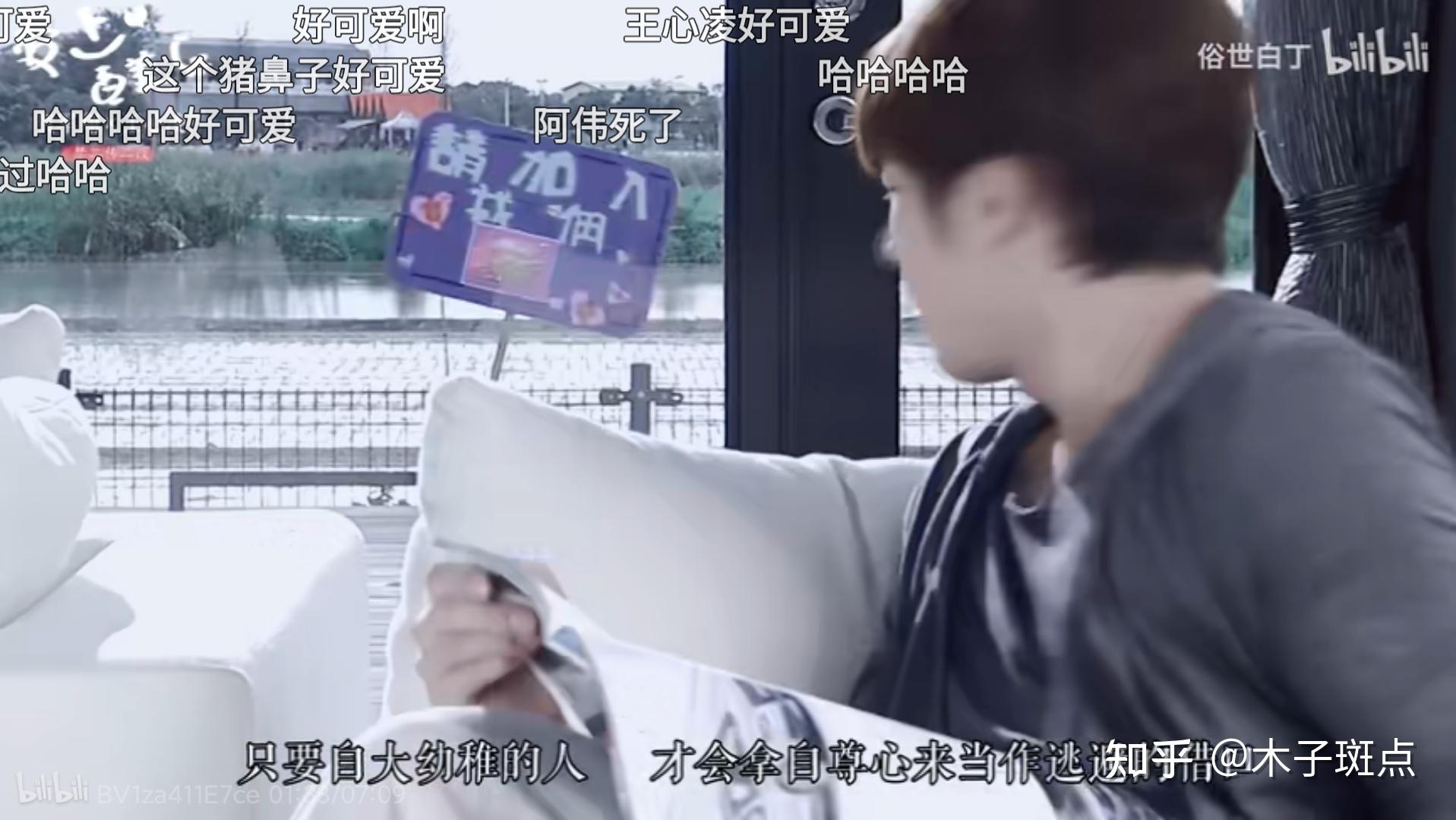爱上查美乐免费观看完整版