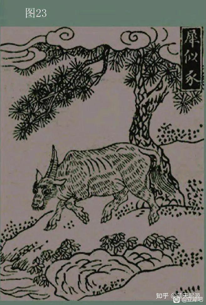 古犀解密~古犀到底长啥样 - 知乎