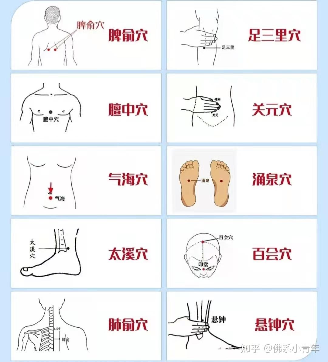 腹股沟刮痧示意图图片