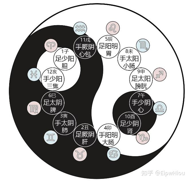 EipwHiou 内相综合 「六合北南」 「十二经脉」 「黄道十二宫」「 生肖」 「大五」 「九型副型」 - 知乎