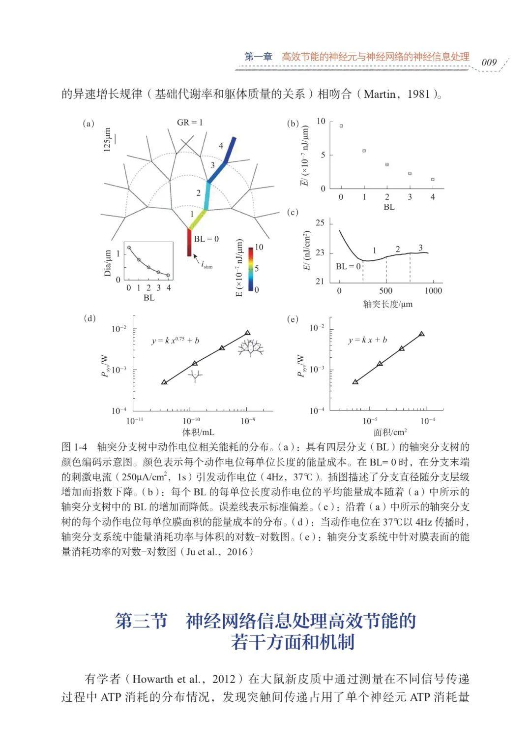 新兴、高速发展交叉学科:《计算认知神经科学》导读 - 知乎