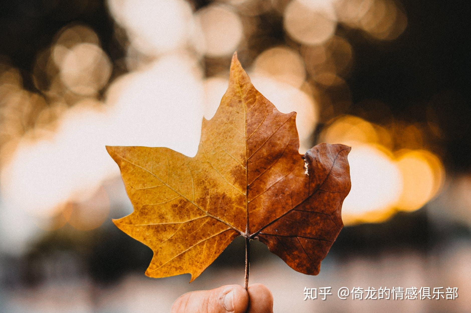 心理学：偶遇前任时，为什么会尴尬和失态？如何化解失态？ - 知乎