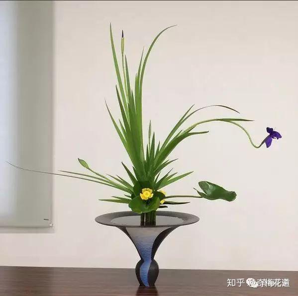 划重点了！五分钟让你了解日式立花 - 知乎