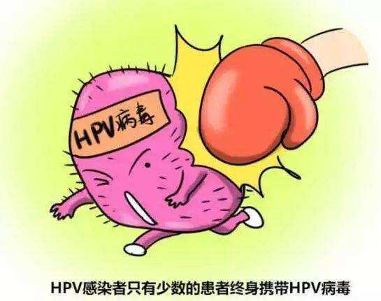 v2-84418f6ab9cd12dcc8b8d2bd7498e6bc_1440w.jpg?source=172ae18b