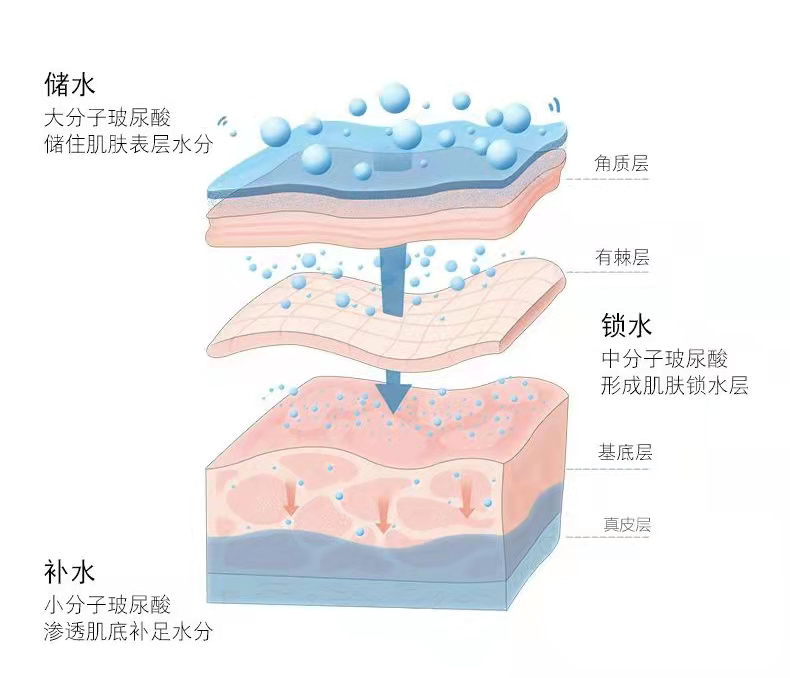 促进角质水合作用