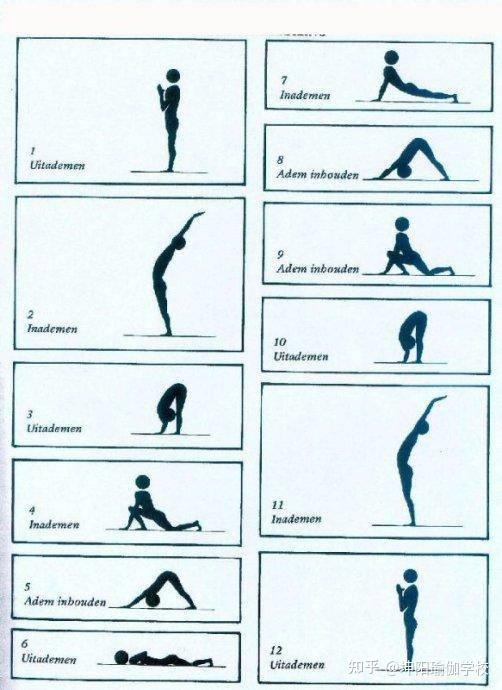 最全瑜伽拜日式体式图收藏