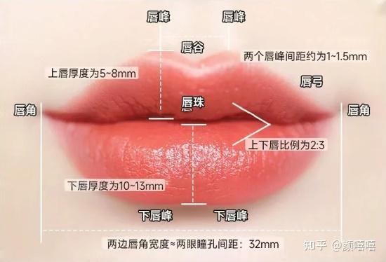 厚唇改薄、玻尿酸丰唇、M唇价格便宜吗?效果、手术流程全解,想唇部改善的进 - 知乎