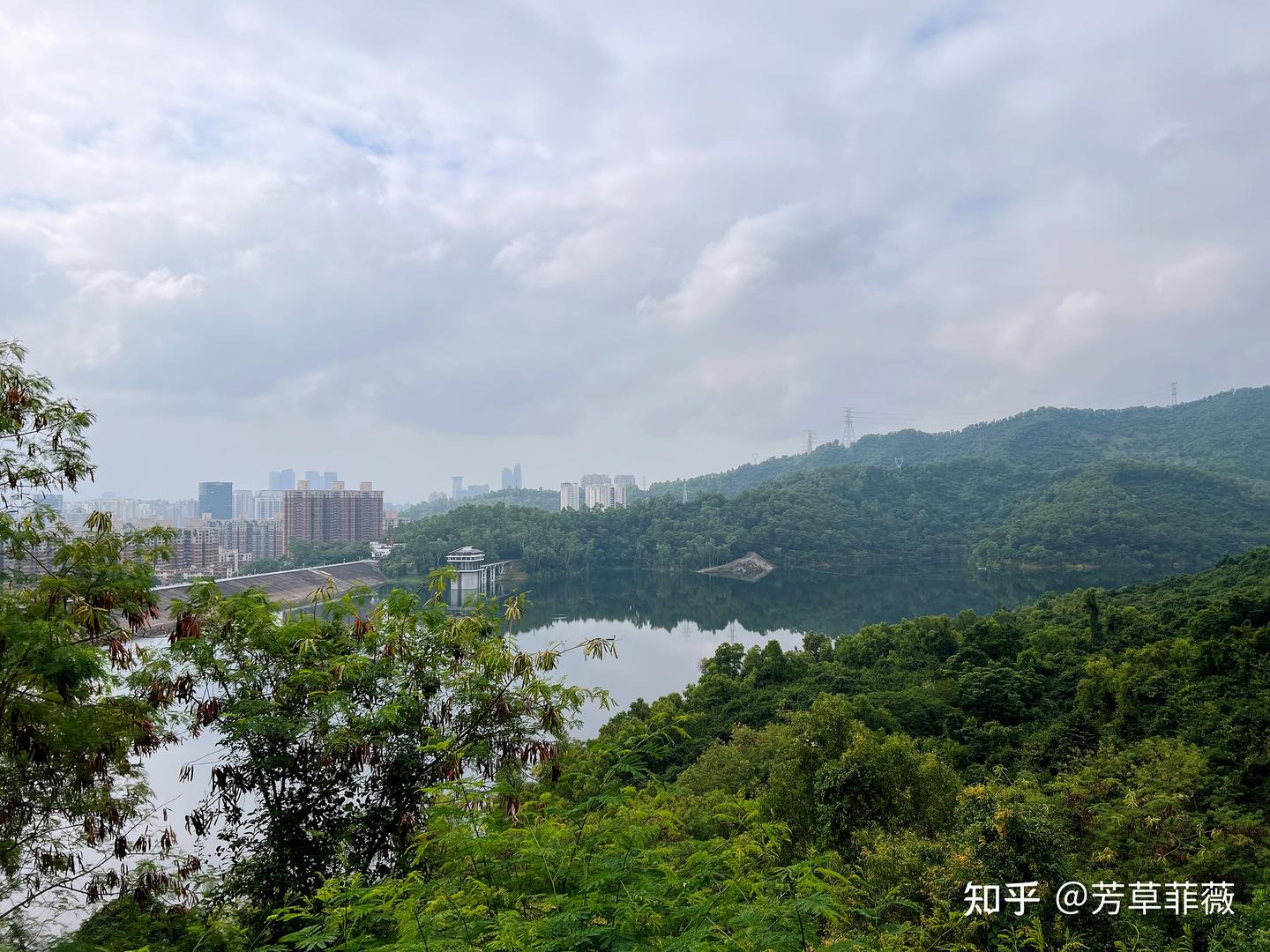 2025周末深圳好去处，深圳绿道徒步（持续更新中~） - 知乎