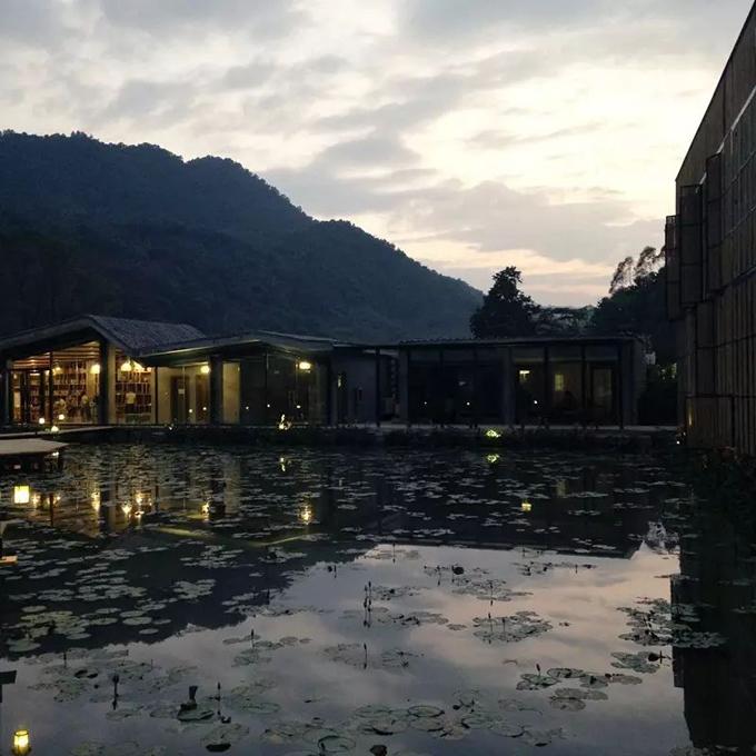 精品民宿丨禾肚里——蛙声稻香荷风星月 ,一间长在稻田里的民宿