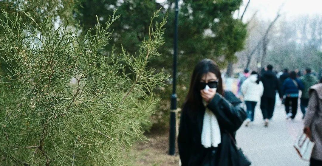 砍掉圆柏,人们就不再过敏了吗? - 知乎